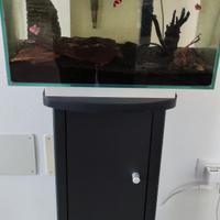 Acquario Askoll Fluval Edge 23lt