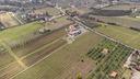 ter-agricolo-a-frascati