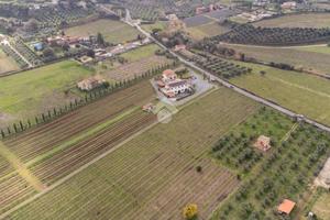 TER. AGRICOLO A FRASCATI