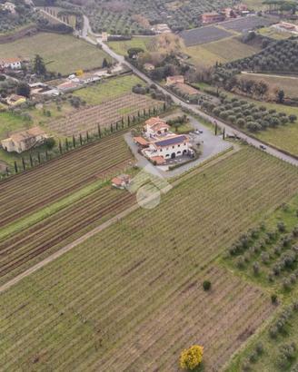TER. AGRICOLO A FRASCATI