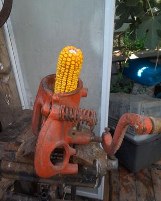 Sgranatrice mais per galline