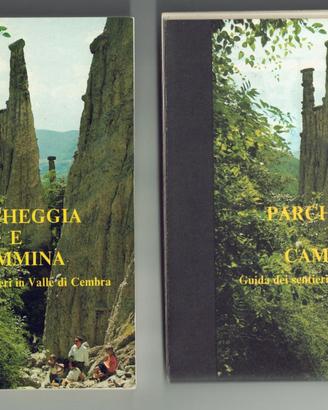 PARCHEGGIA E CAMMINA – GUIDA SENTIERI VALLE CEMBRA