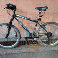 Mountain bike Torpado Storm 