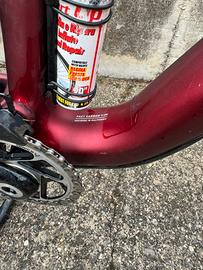 Specialized epic8 expert