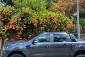 Ford Ranger Thunder Wildtruck