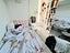 Immagine 12