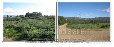 Terreno Agricolo Sinnai [A327247]