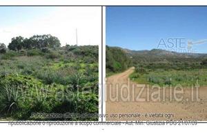 Terreno Agricolo Sinnai [A327247]