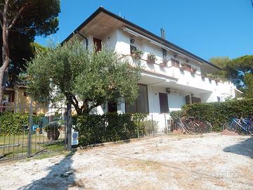 M136-M.Castagneto - Appartamento al piano terra