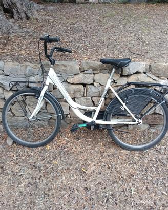 Bici da Donna da 24 Pollici 
