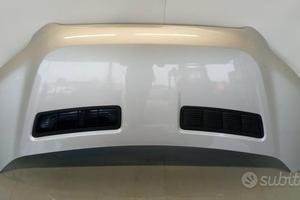 COFANO ANTERIORE FORD van Transit 2019> usato