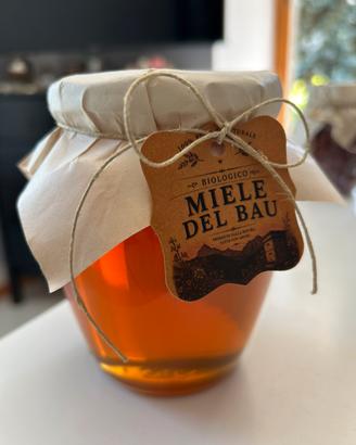 Vasetto di miele