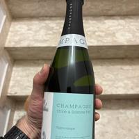 Champagne Faÿ Hippocampe