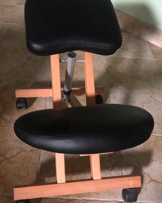 sedia ergonomica