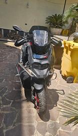 Scoter