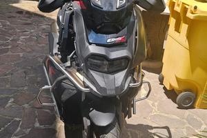 Scoter