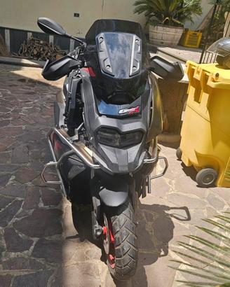 Scoter