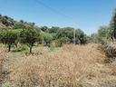 011-terreno-agricolo-pianeggiante-mq-5000
