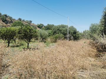 011 Terreno agricolo pianeggiante mq 5000