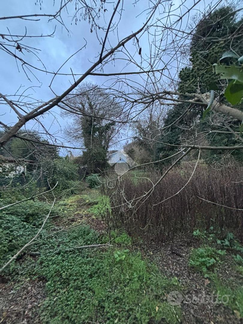 TER. AGRICOLO A ROMA - Ansicht 6