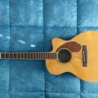 chitarra acustica amplificata Fender