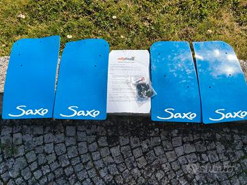 paraschizzi rally saxo