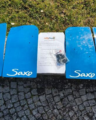 paraschizzi rally saxo