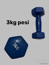 Manubri da 3 kg l’uno