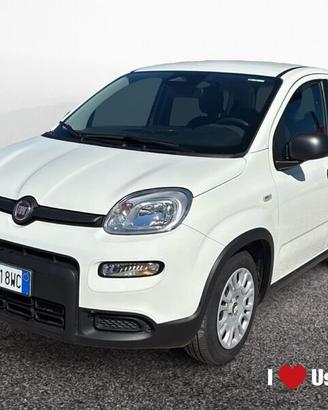 FIAT Pandina New PANDA Panda Serie 7 1.0 70cv...