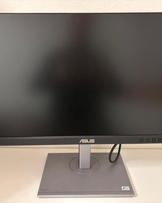 Monitor Asus Pa247cv - 24 Pollici