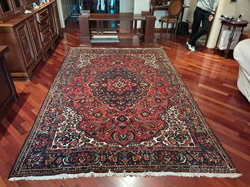 Tappeto Kashan  3.2 x 2 m