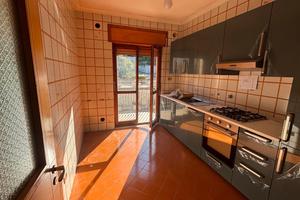 Camere singole al centro