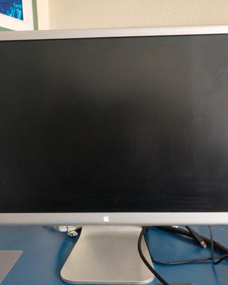 Monitor Apple 19" Cinema Display (NON FUNZIONANTE)