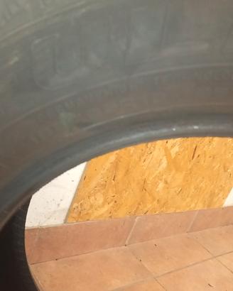 gomme invernali 