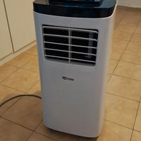 Pinguino climatizzatore portatile