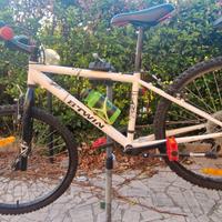 RockRider 300 24 pollici