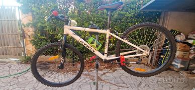 RockRider 300 24 pollici