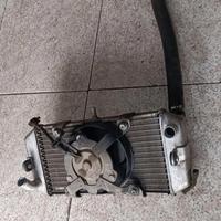 radiatore Yamaha majesty 400 anno 2009-2010