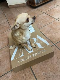 Vorrei una fidanzata (monta)