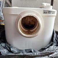 sanitrit SFA