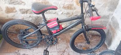 Bicicletta da bambino