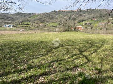 TER. AGRICOLO A GALLINARO