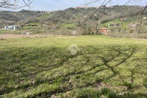 TER. AGRICOLO A GALLINARO