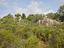 Immagine 14