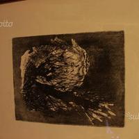 Disegno numerato Guarnieri
