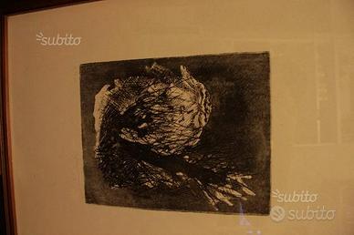 Disegno numerato Guarnieri