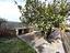 Immagine 29