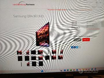 Monitor TV Samsung 43 pollici QB43R