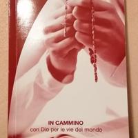 In Cammino con Dio per le vie del mondo ORP 2014