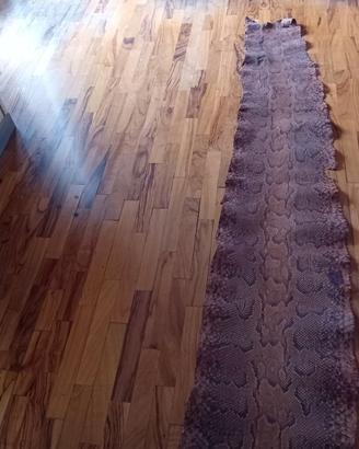 Pelle di Pitone  VERA